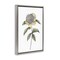 Stupell Industries Camellia Flower Illustration Floating Frame, design by Cecilia Battaini